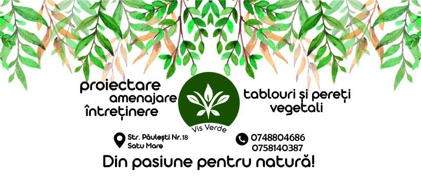 Carte vizită Vis Verde