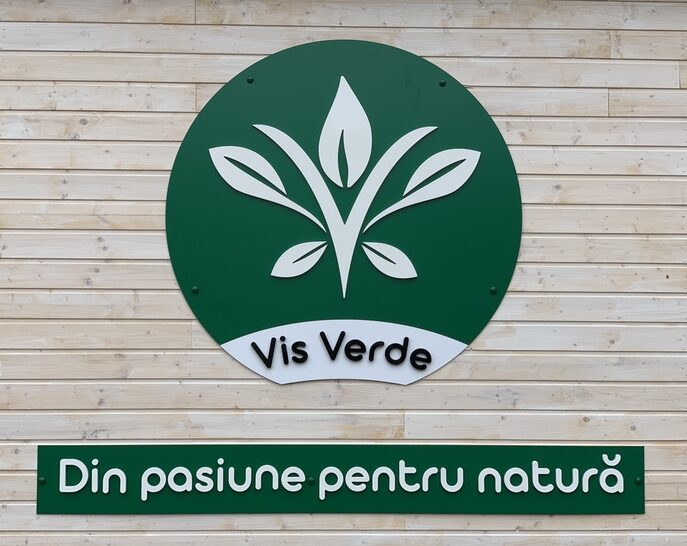 Despre Vis Verde